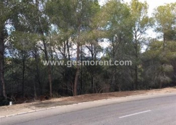 SOLAR EN VENTA ZONA CALA VINYAS.