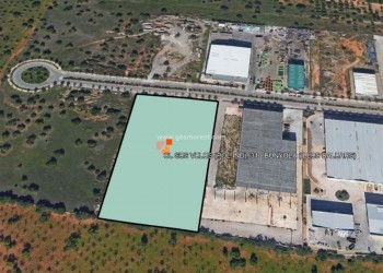 TERRENO EDIFICABLE EN VENTA EN SES VELES