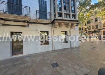 CONJUNTO DE LOCALES EN ALQUILER EN PERE GARAU