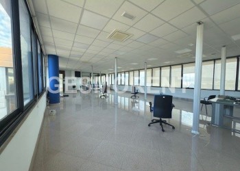 CONJUNTO DE INMUEBLES EN VENTA EN POLIGONO SON ROSSINYOL